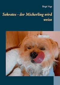 Sokrates - der Mickerling wird weise - Birgit Vogt - ebook