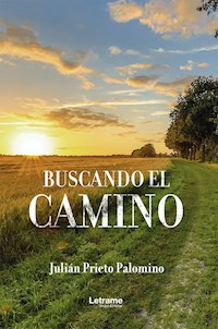 Buscando el camino - Julián Prieto Palomino - ebook