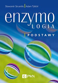 Enzymologia Podstawy - Strumiło Sławomir, Tylicki Adam - książka