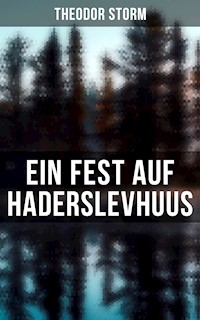 Ein Fest auf Haderslevhuus - Theodor  Storm - ebook