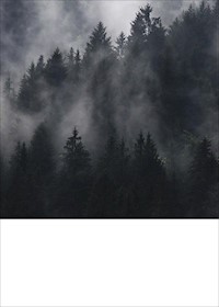 Yu Bogota! - Manfred Euteneier - ebook