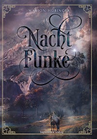 Nachtfunke - Marion Hübinger - ebook