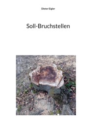 Soll-Bruchstellen - Dieter Eigler - ebook