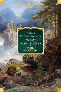 Рольф в лесах. Лесные рассказы - Эрнест Сетон-Томпсон - ebook