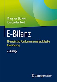 E-Bilanz - Klaus von Sicherer - ebook
