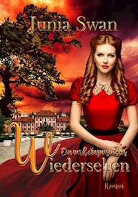 Ein verhängnisvolles Wiedersehen - Junia Swan - ebook