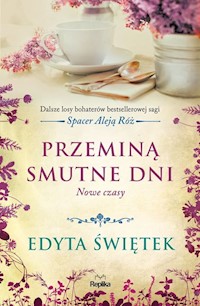 Przeminą smutne dni Nowe czasy - Edyta Świętek - książka