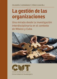 La gestión de las organizaciones - Carlos Ernesto Martín Pérez - ebook