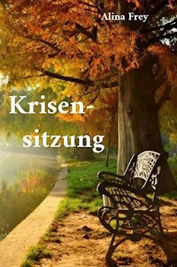 Krisensitzung - Alina Frey - ebook