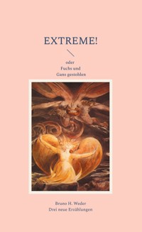 Extreme! - Bruno H. Weder - ebook