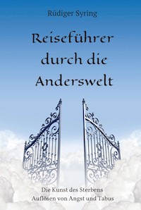 Reiseführer durch die Anderswelt - Rüdiger Syring - ebook