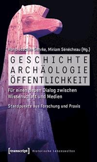 Geschichte, Archäologie, Öffentlichkeit -  - ebook
