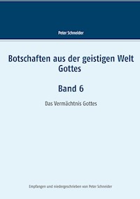 Botschaften aus der geistigen Welt Gottes    Band 6 - Peter Schneider - ebook