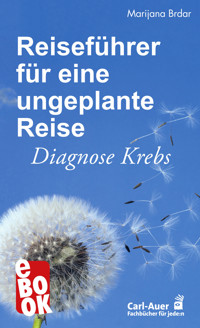 Reiseführer für eine ungeplante Reise - Marijana Brdar - ebook