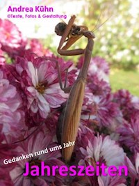 Jahreszeiten - Andrea Kuhn - ebook