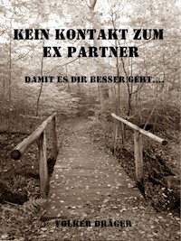 Kein Kontakt zum Ex Partner - Damit es dir besser geht. V2.0 - Volker Dräger - ebook