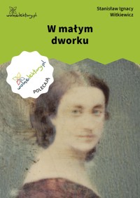 W małym dworku - Stanisław Ignacy Witkiewicz - ebook