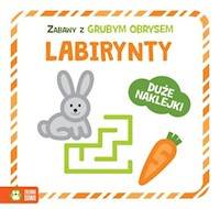Zabawy z grubym obrysem Labirynty -  - książka