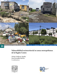 Vulnerabilidad socioterritorial en zonas metropolitanas de la Región Centro - Adrián Guillermo Aguilar - ebook