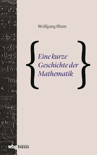 Eine kurze Geschichte der Mathematik - Wolfgang Blum - ebook