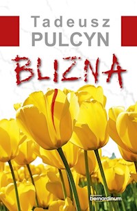 Blizna - Pulcyn Tadeusz - książka