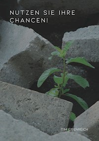 Nutzen Sie Ihre Chance! - Tim Eisenreich - ebook