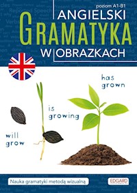 Angielski Gramatyka w obrazkach - - książka