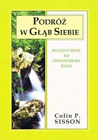 Podróż w głąb siebie - Sisson Colin P. - książka