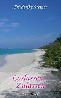 Loslassen - Zulassen - Friederike Steiner - ebook