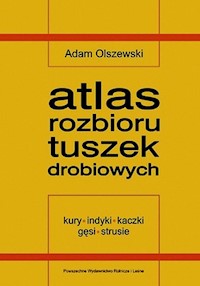 Atlas rozbioru tuszek drobiowych - Adam Olszewski - książka