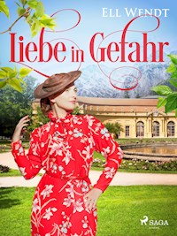 Liebe in Gefahr - Ell Wendt - ebook