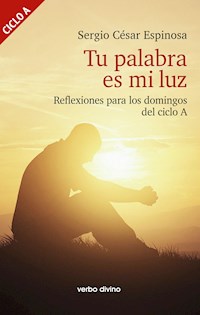 Tu palabra es mi luz - Sergio César Espinosa González - ebook