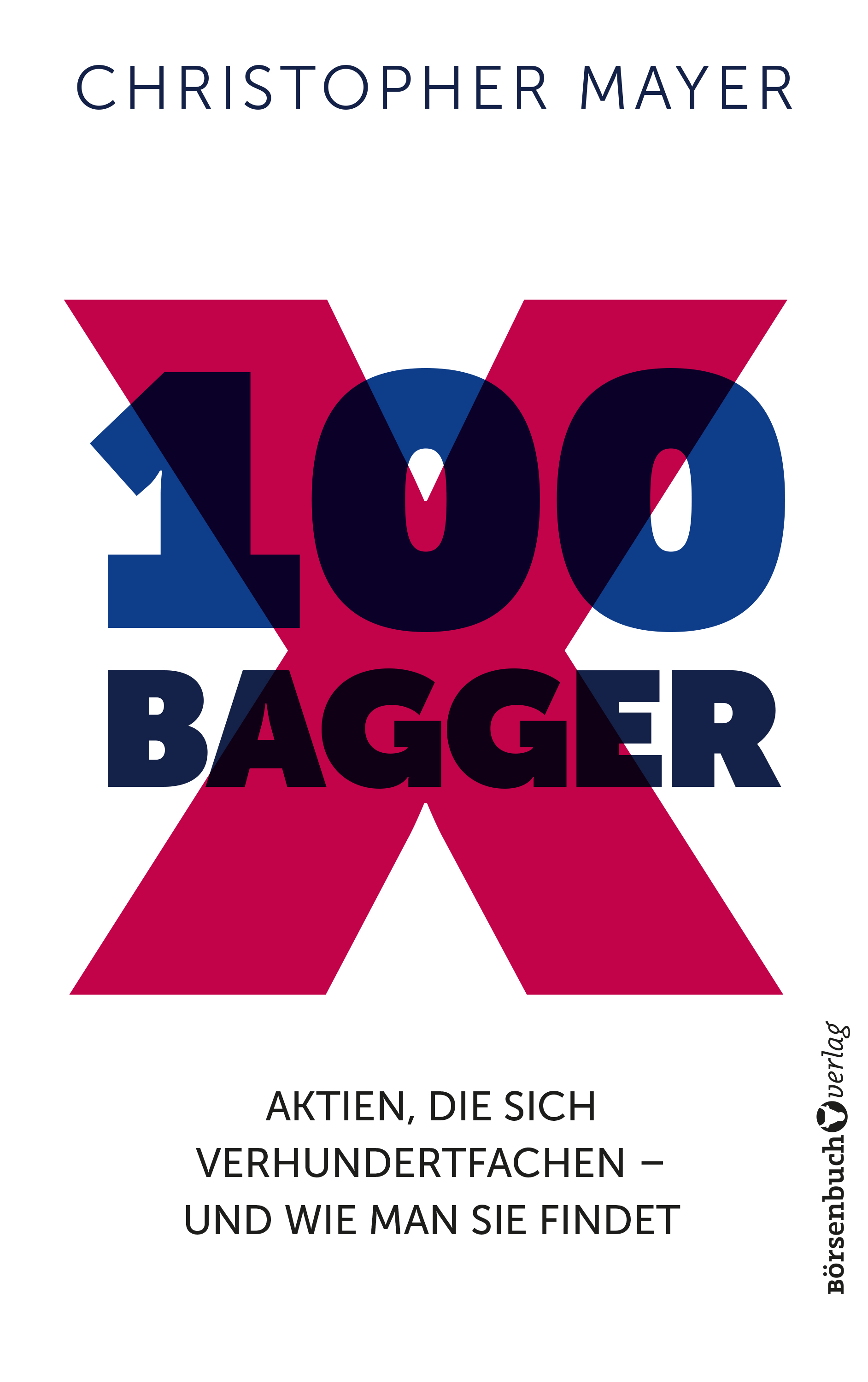 100 Bagger - Christopher W. Mayer - ebook