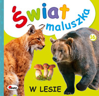 Świat maluszka w lesie -  - książka