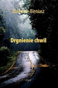 Drgnienie chwil - Bieniasz Bolesław - książka