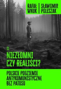 Niezłomni czy realiści? - Poleszak Sławomir, Wnuk Rafał - książka