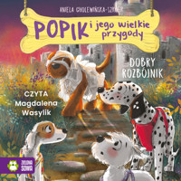 Popik i jego wielkie przygody. Dobry rozbójnik - Aniela Cholewińska-Szkolik - audiobook + książka