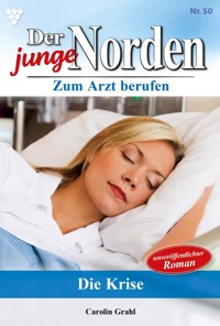 Die Krise - Carolin Grahl - ebook