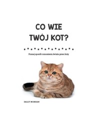 Co wie Twój kot? - Morgan Sally - książka