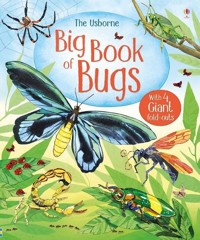 Big Book of Bugs - Bone Emily - książka