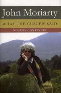 What The Curlew Said - John Moriarty - ebook