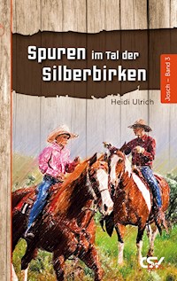 Spuren im Tal der Silberbirken - Heidi Ulrich - ebook