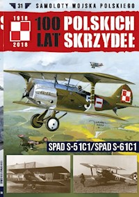 100 lat polskich skrzydeł Tom 31 -  - książka