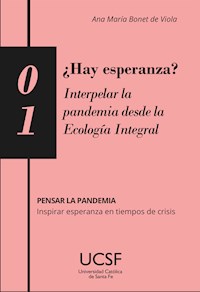 ¿Hay esperanza? Interpelar la pandemia desde la Ecología Integral - Ana María Bonet de Viola - ebook