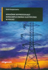 Wskaźniki wyprzedzające konsumpcji energii elektrycznej w Polsce - Kasperowicz Rafał - książka
