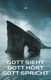 Gott sieht - Gott hört - Gott spricht - Johann Nickel - ebook