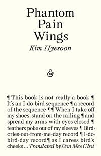 Phantom Pain Wings - Kim Hyesoon - ebook