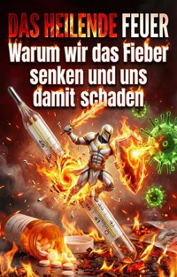 Heilende Feuer - Paul Richter - ebook