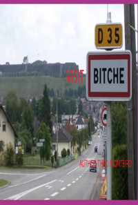 Visit Bitche! - Theobaldo Veira Monteiro - ebook