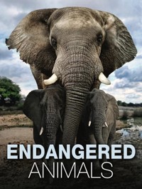 Endangered Animals - Jackson Tom - książka